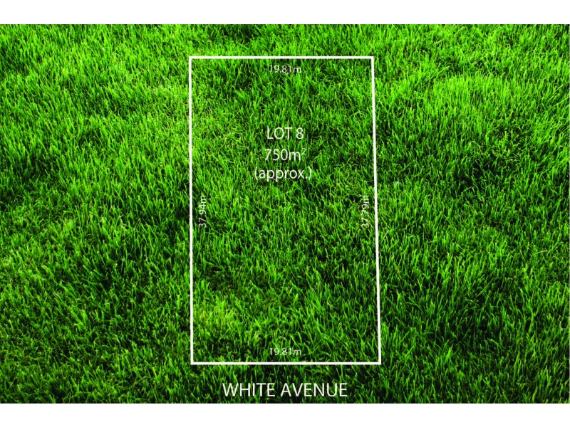 40 White Avenue, Lockleys SA 5032