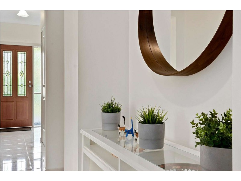 38 Rockville Avenue, Daw Park SA 5041