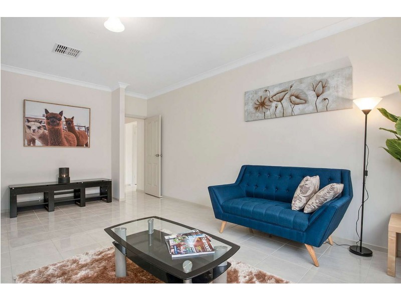 38 Rockville Avenue, Daw Park SA 5041