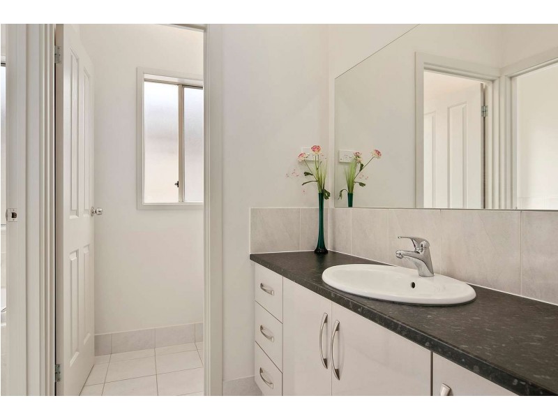 38 Rockville Avenue, Daw Park SA 5041