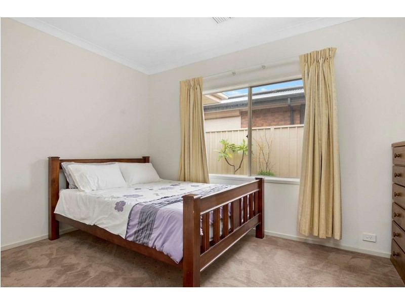 38 Rockville Avenue, Daw Park SA 5041