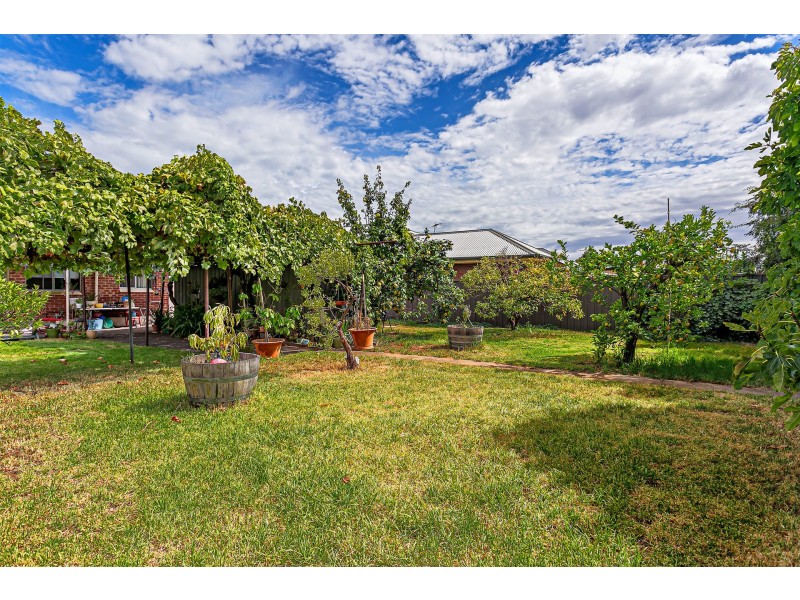 10 Holland Street, Thebarton SA 5031