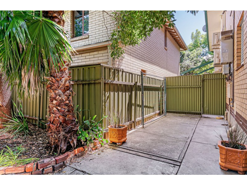 3/17 Thornton Street, Kensington SA 5068