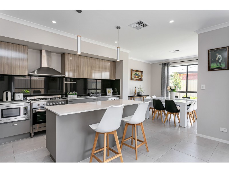 29B Mortimer Street, Kurralta Park SA 5037