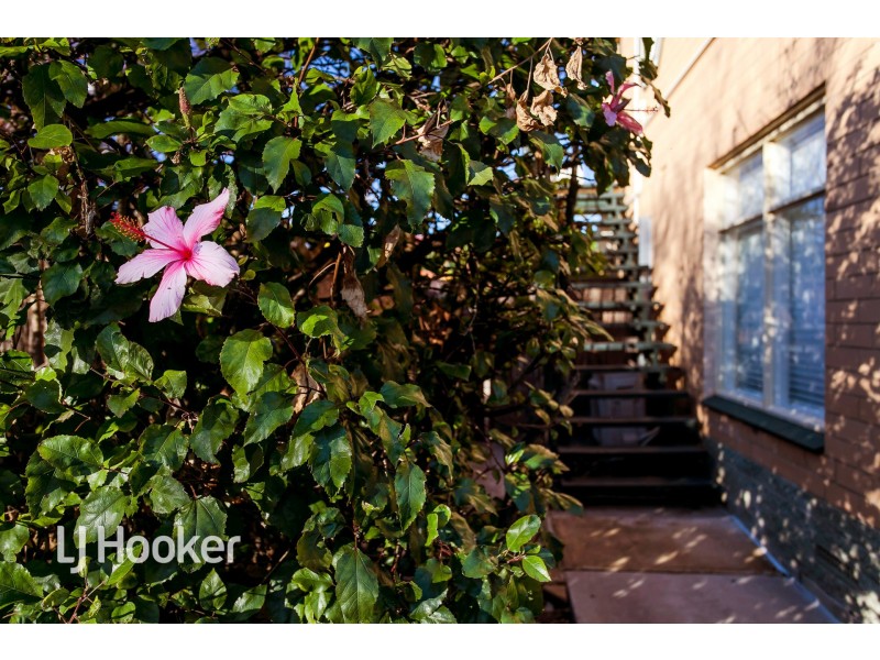 3/65 Leader Street, Forestville SA 5035