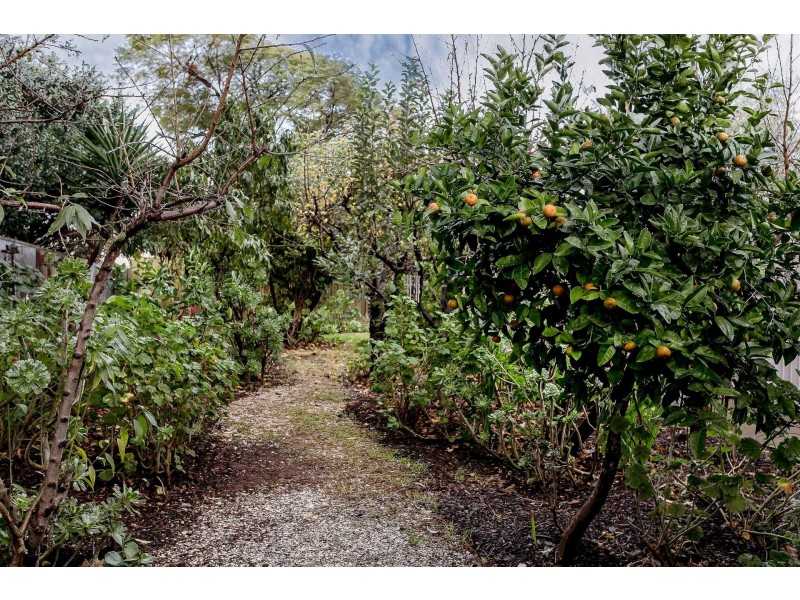 68 West Street, Torrensville SA 5031