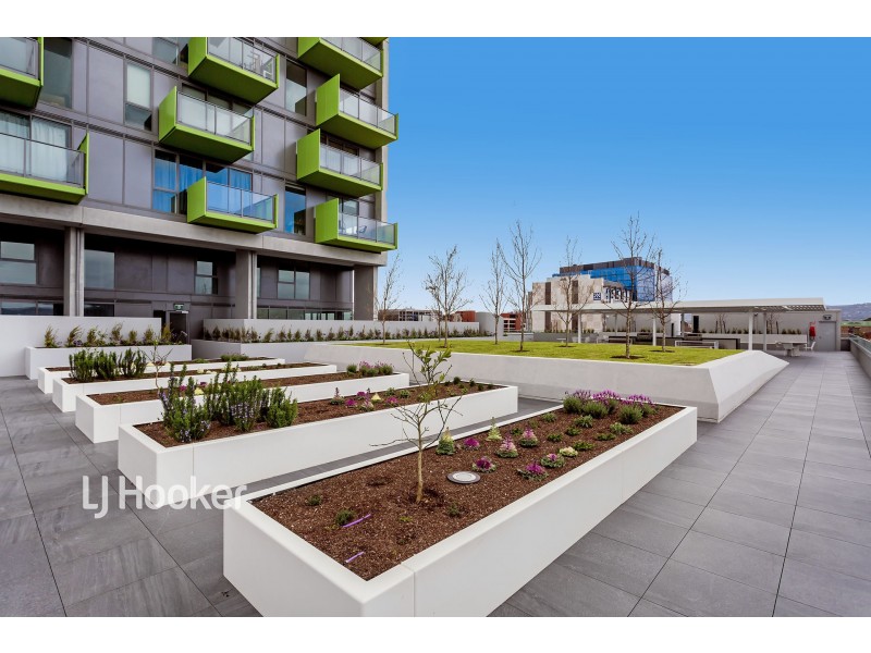 2302/29 Angas Street, Adelaide SA 5000