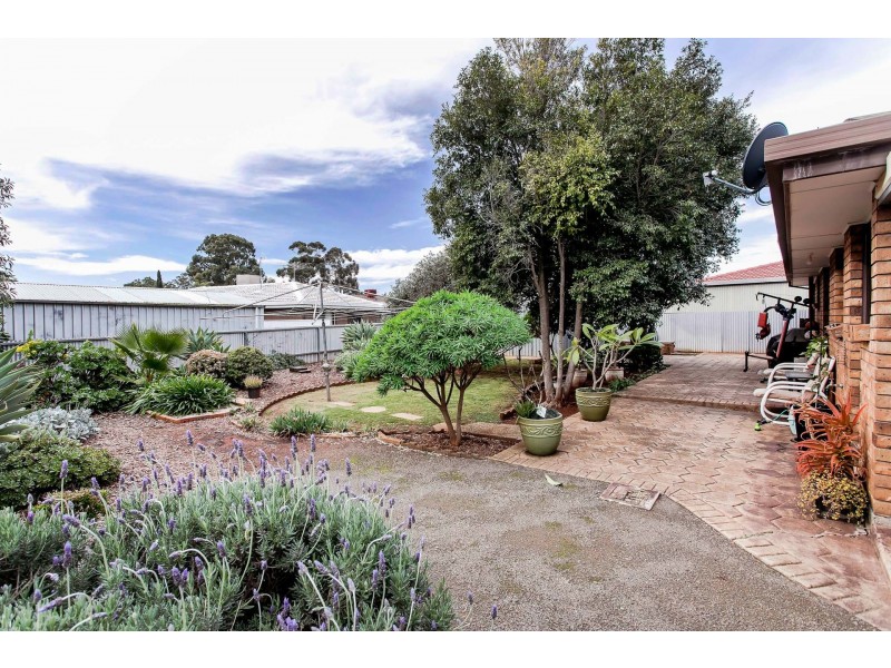 15 Baldina Crescent, Craigmore SA 5114