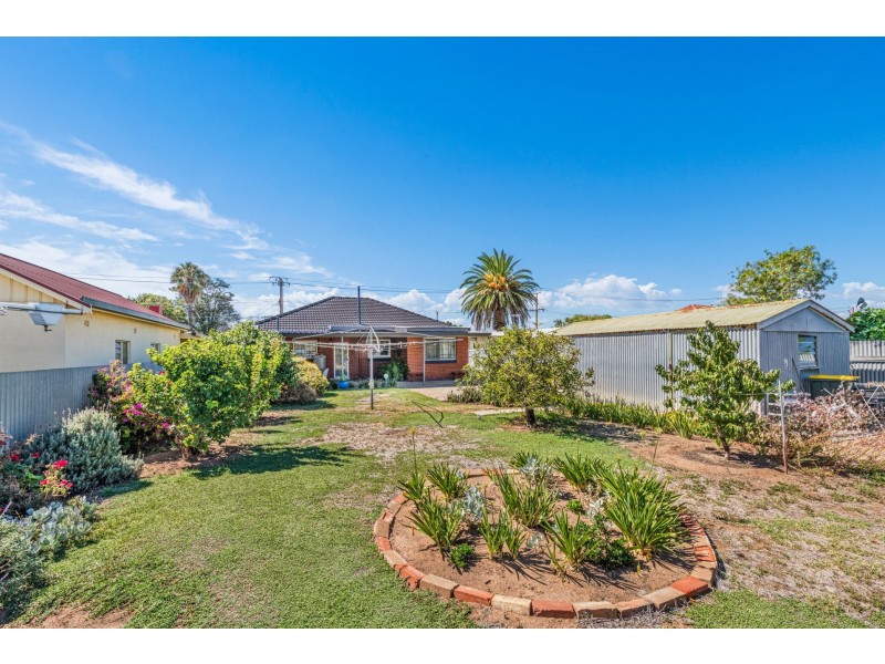 56 Alicia Street, Athol Park SA 5012