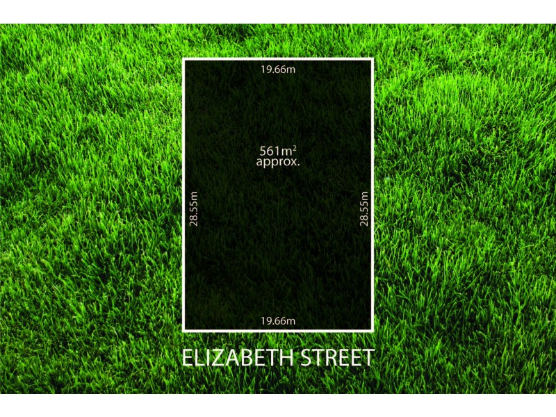 49 Elizabeth Street, Torrensville SA 5031