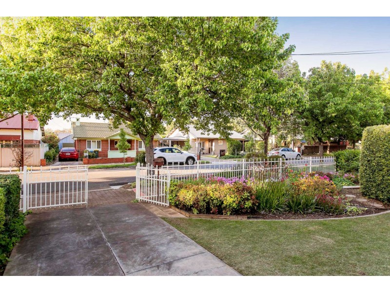 5 Culley Street, Clarence Park SA 5034