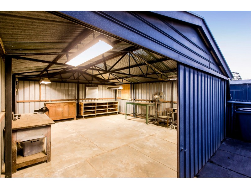 5 Culley Street, Clarence Park SA 5034