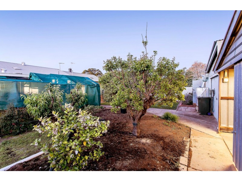 5 Culley Street, Clarence Park SA 5034