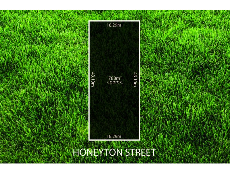 16 Honeyton Street, Seaton SA 5023