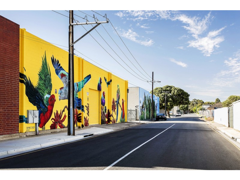 59 Sherriff Street, Underdale SA 5032