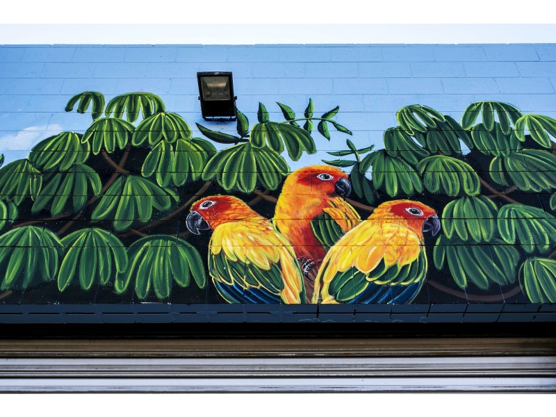 59 Sherriff Street, Underdale SA 5032