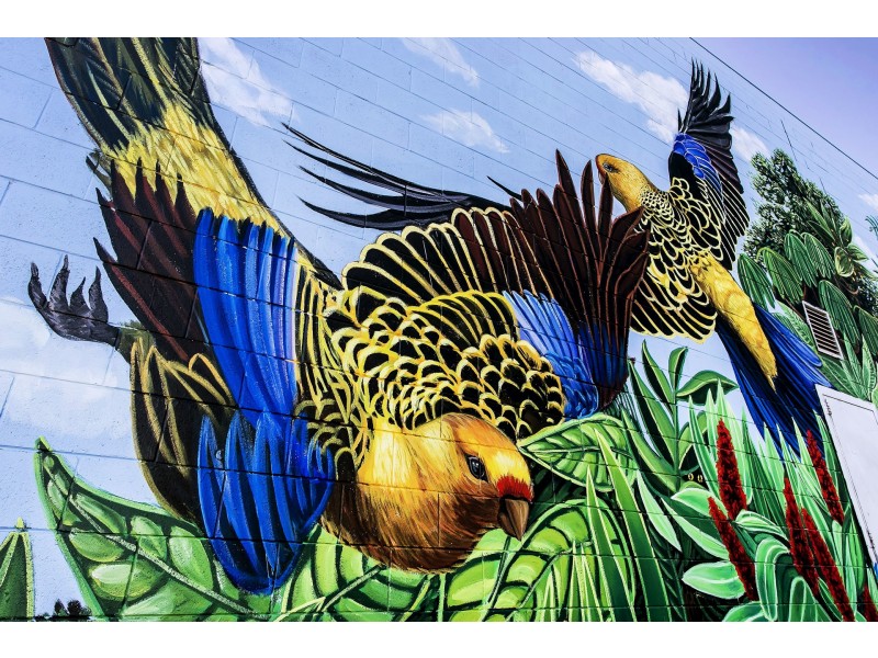 59 Sherriff Street, Underdale SA 5032