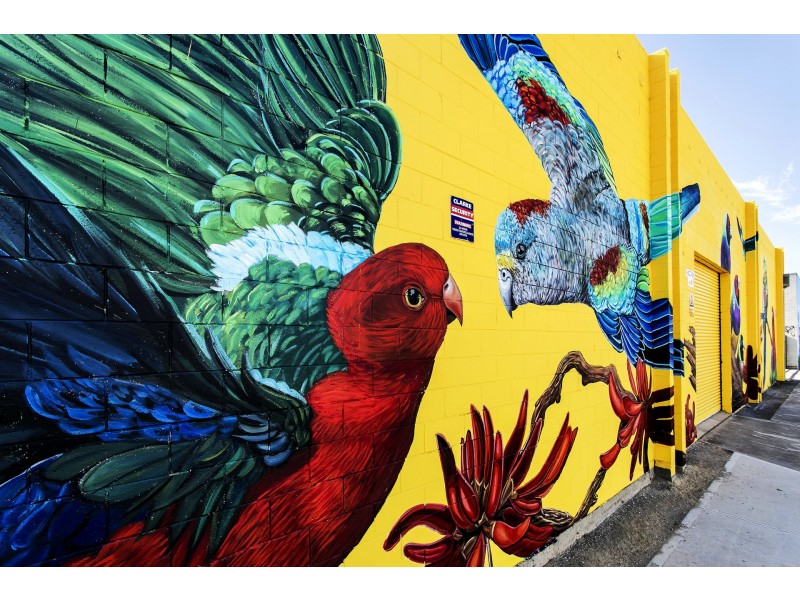 59 Sherriff Street, Underdale SA 5032