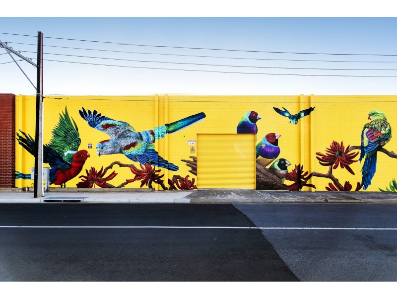 59 Sherriff Street, Underdale SA 5032