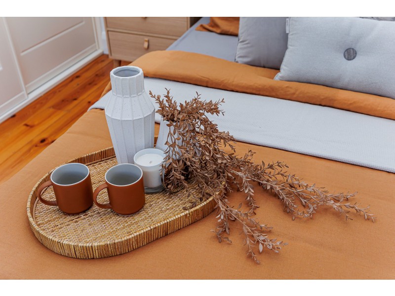 9 Harley Street, Cowandilla SA 5033