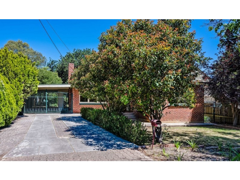 19 Finlayson Street, Netherby SA 5062