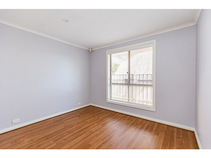 46a Chambers Avenue, Richmond SA 5033