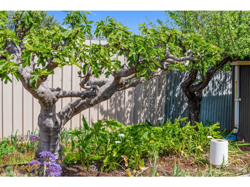 56 Days Road, Croydon Park SA 5008