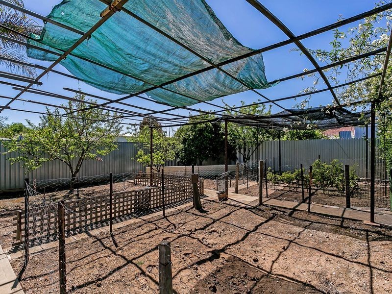 20 Redin Street, Prospect SA 5082