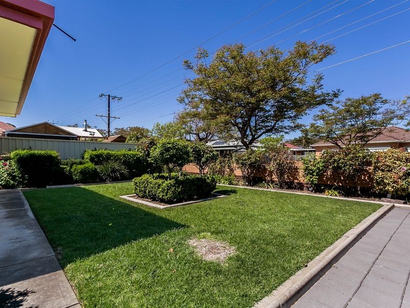 20 Redin Street, Prospect SA 5082