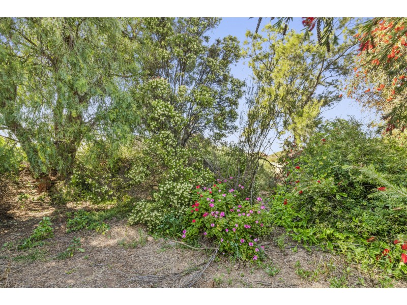 13 Matheson Avenue, Findon SA 5023