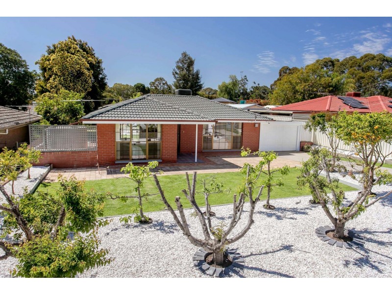 20 Glengyle Avenue, Modbury SA 5092