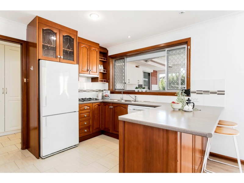 20 Glengyle Avenue, Modbury SA 5092