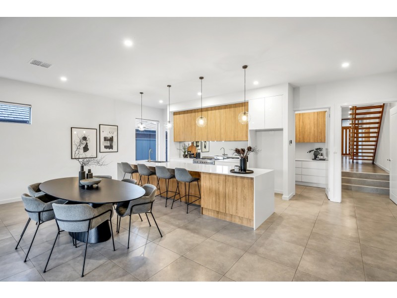 3 Rayne Avenue, Linden Park SA 5065