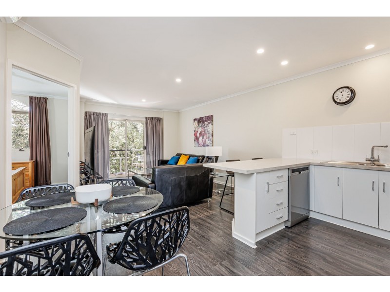 22/55 Melbourne Street, North Adelaide SA 5006