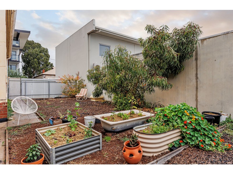 8 West Street, Hindmarsh SA 5007