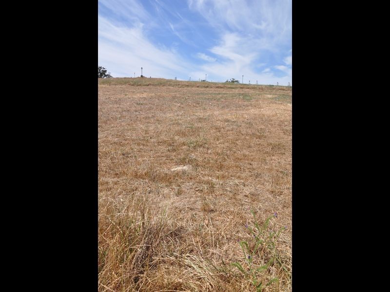 Lot 557 Gartrell Boulevard, Craigburn Farm SA 5051
