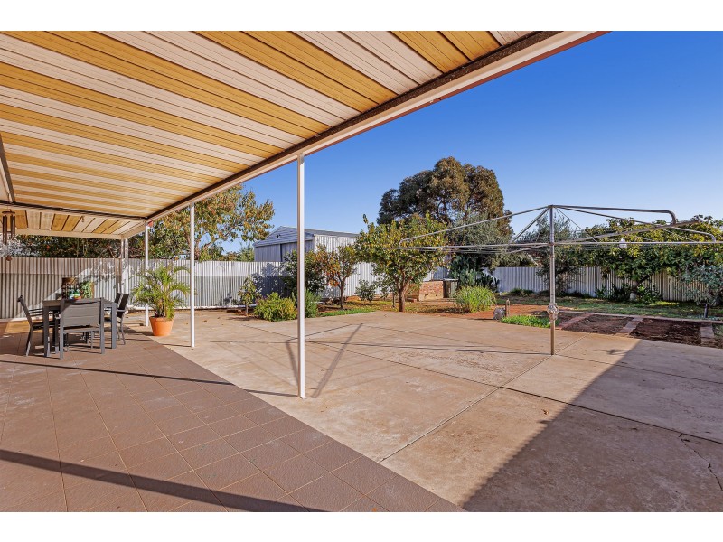 31 Clifford Street, Torrensville SA 5031