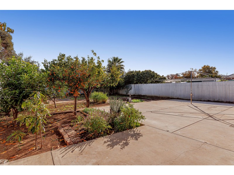 31 Clifford Street, Torrensville SA 5031