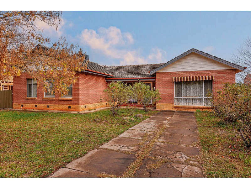 77 Bombay Street, Oaklands Park SA 5046