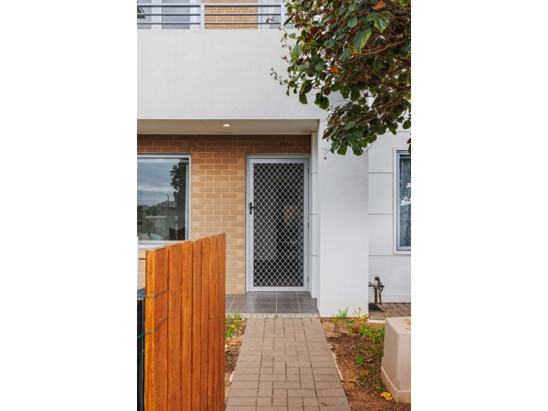 43 The Avenue, Athol Park SA 5012