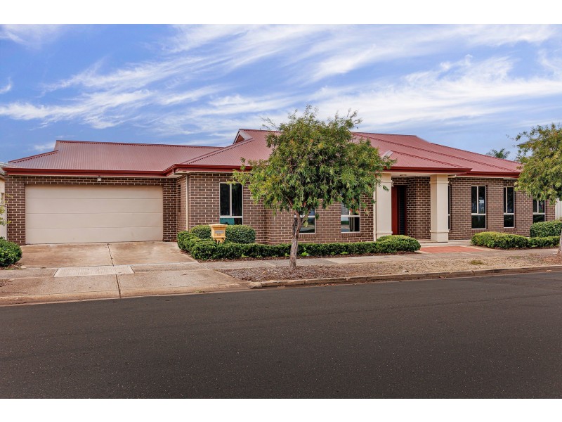 50 Hayward Avenue, Torrensville SA 5031