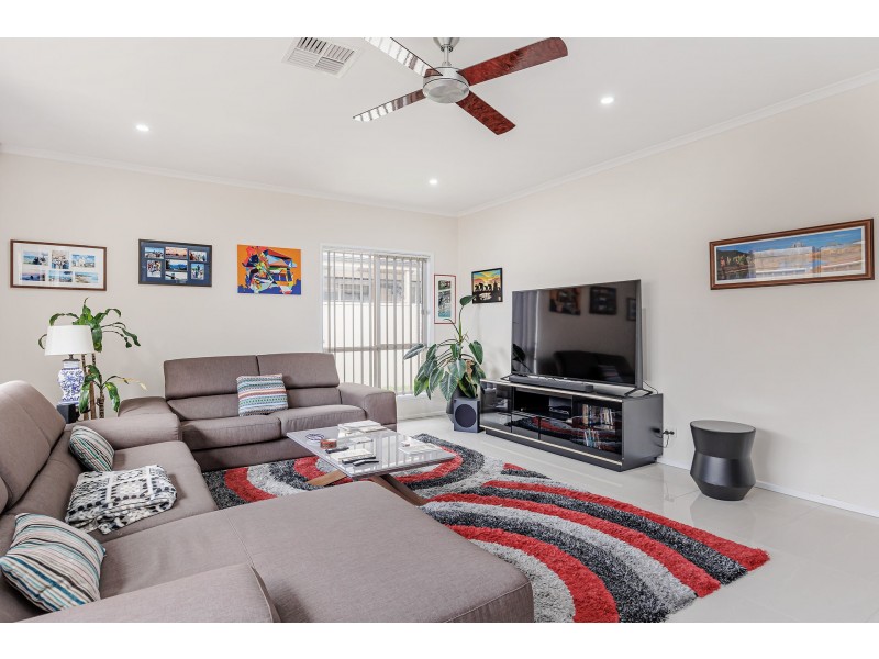 50 Hayward Avenue, Torrensville SA 5031