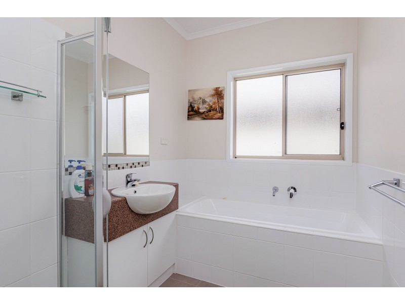 50 Hayward Avenue, Torrensville SA 5031