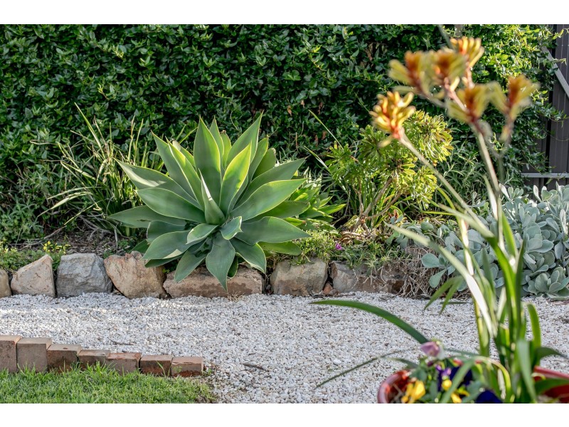 4 Harrison Road, Renown Park SA 5008
