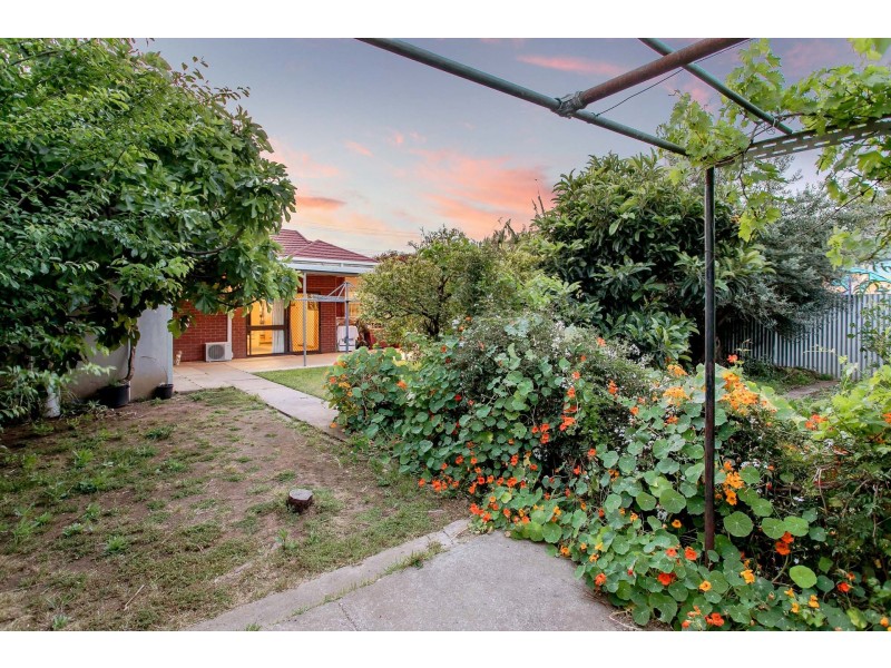 1 Chapman Street, Torrensville SA 5031