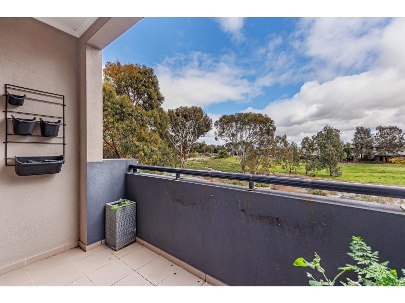 1/17 Euston Walk, Mawson Lakes SA 5095