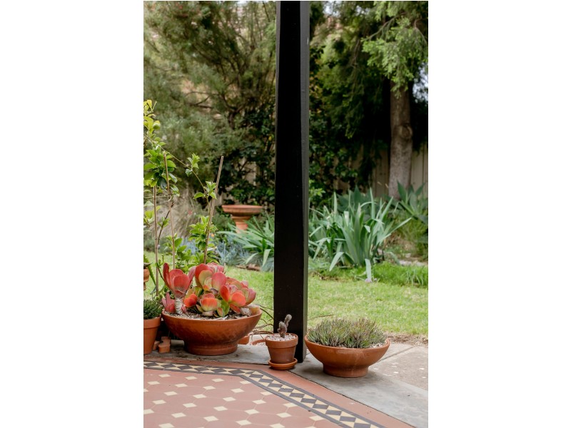 36 Henley Street, Mile End SA 5031