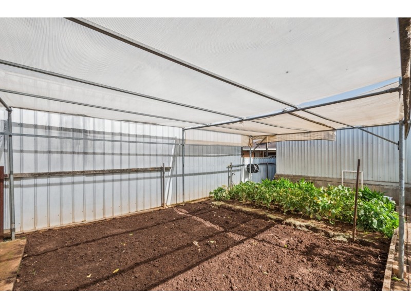 10 Bowran Avenue, Klemzig SA 5087