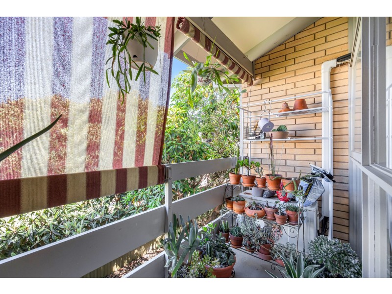 5/2 Davenport Terrace, Wayville SA 5034