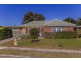 14 Shelley Avenue, Netley SA 5037